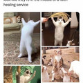 faith healing.jpg
