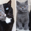 fascinating-interesting-pics-be-amazed-22-67811342a5892__700.jpg