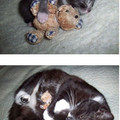 friends-460x729.jpg