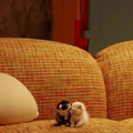 funny-cute-cats-pics-100-6772a5d197062__700.jpg