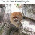 funny-relatable-ig-animal-memes-12-679b7d8e2ceef__700.jpg