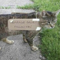 garage sale.jpg