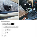 goat cat.jpg