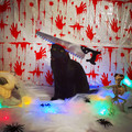 halloween costume 2.jpg
