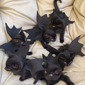 halloween costume 5.jpg