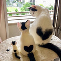 hearts 2.jpg