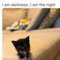 i am darkness.jpg