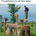 i suppose you're wondering.jpg