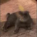 it_was_you_the_whole_time.mp4