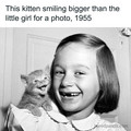 kitten smile.jpg