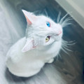 last-time-ill-see-this-beautiful-boy-for-4-years-v0-taloc7u5vhff1.webp