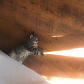 light beam.jpg