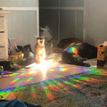 magical_cat.jpg