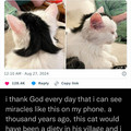 mullet cat.jpg
