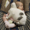 nap-buddy.jpg