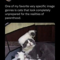 parenthood.jpg