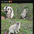 pfbid02vPpUesAYaT7a9wjerqmzHQN3NEC5UHA8L78MULvWx3pHcmWVqzBNffrosw6qCtYslrefembed_post-png__700.jpg