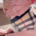 sphynx cat.mp4