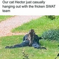 swat cat.jpg