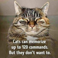they don't want to.jpg