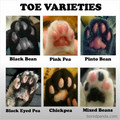 toe varieties.jpg