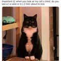 vase.jpg