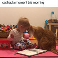 wholesome-cat-posts-197-5d385b6eced74_700.jpg