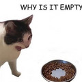why is it empty.jpg