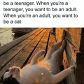 you want to be a cat.jpg