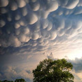 6777b390da2bc_yl3g34jizn091__700.jpg