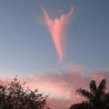 angel.jpeg