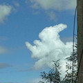 bunny 2.jpg