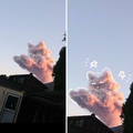 cat.jpg