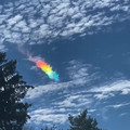 fire rainbow.mp4
