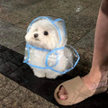 67091b26eb128_hecking-wholesome-pics.jpg