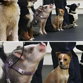 675c417b7714f_cute-blessed-pics.jpg