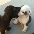 675c42bdcb299_cute-blessed-pics.jpg