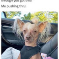 GbSzeYHWoAEHVNO (1).jpg