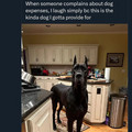 big dog.jpg
