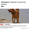 dog bites its owner.jpg