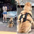 dog son.jpg