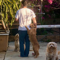 dog_hugging_man.jpg