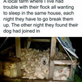 funny-country-living-memes13-677bf98ecbf14__700.jpg