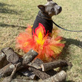 halloween costume 4.jpg