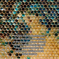 68135f7da51e5_everything-interesting-posts.jpg