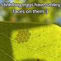 68135f84b1b95_everything-interesting-posts.jpg