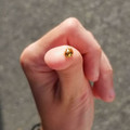 gold_beetle.jpg