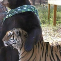 675c419b4a3a1_cute-blessed-pics.jpg