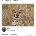 67a085816ad9c_funny-relatable-ig-animal-memes.jpg