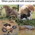 GhZQu1CXMAA7Q76.jpeg